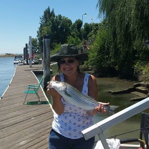 Meet your Posher, Veronica